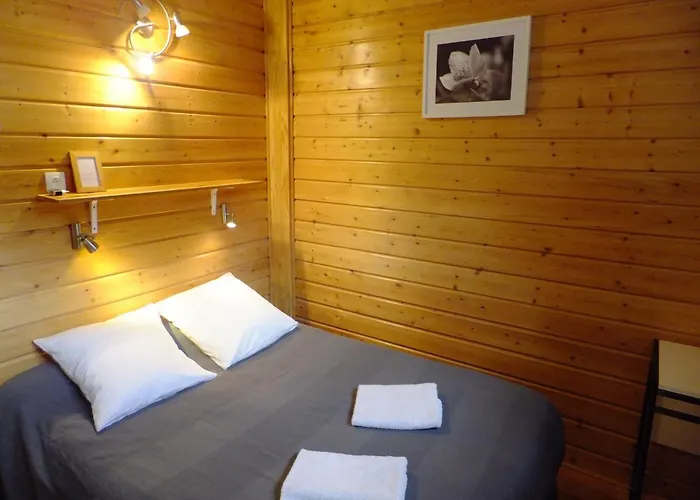 赛姆斯酒店 2* 吕兹-圣索沃尔